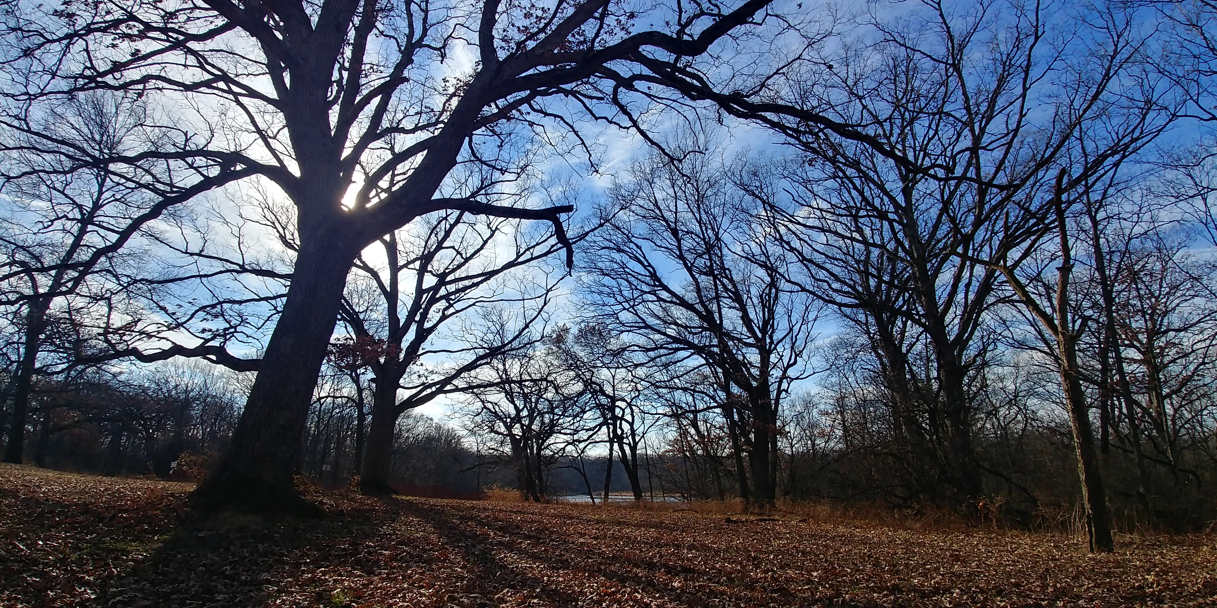 20191226_120832_HDR.jpg