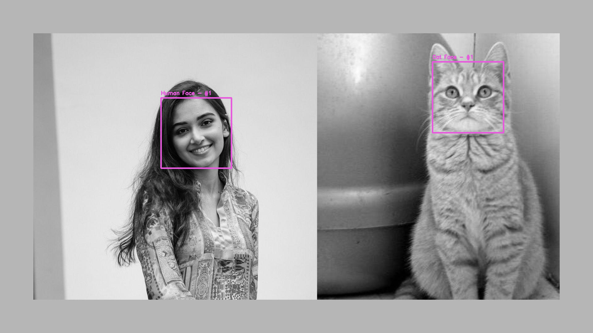 Building a Cat Face Recognizer in Python – Sonsuz Design