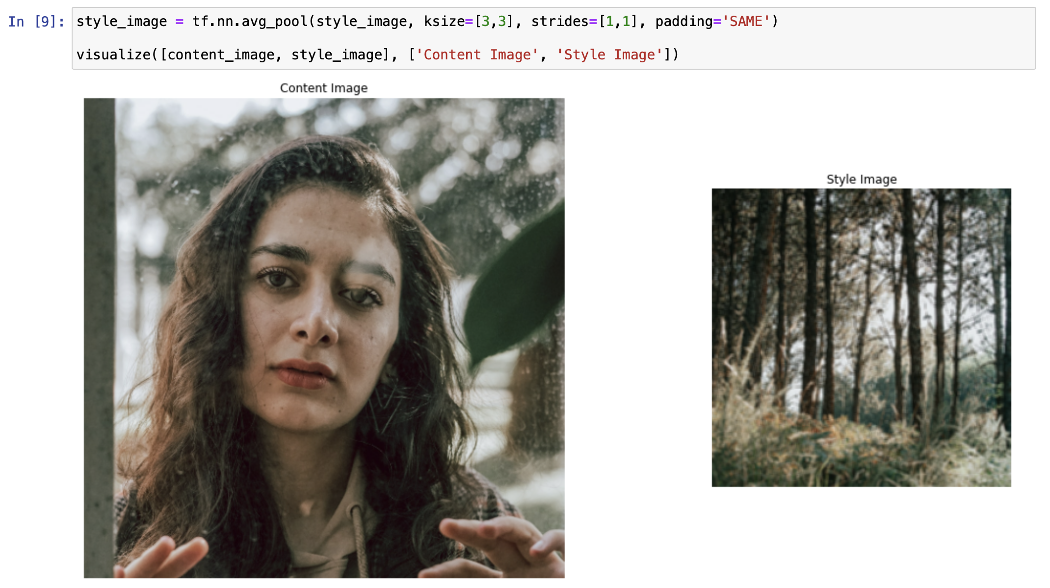 Python for Art – Fast Neural Style Transfer using TensorFlow 2 – Sonsuz ...
